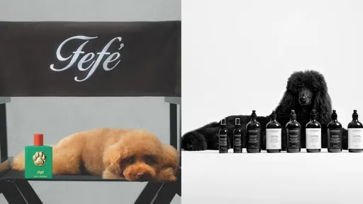 貓狗奴才看過來! Dolce & Gabbana推狗香水、紐西蘭天然寵物保養也登台