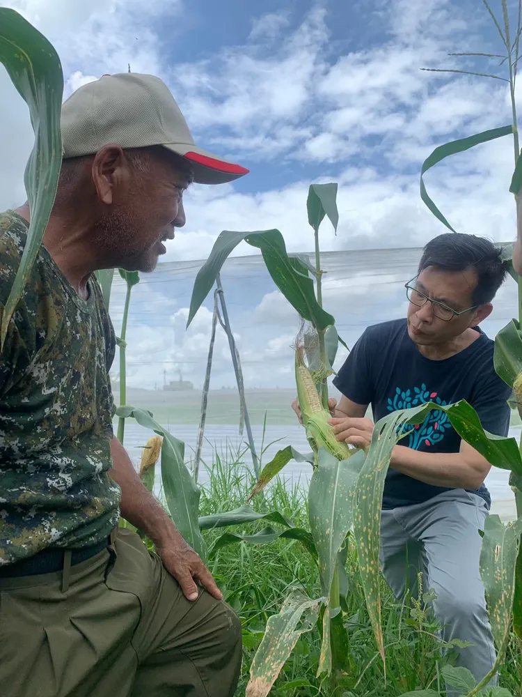 簡天才到農村向有機玉米農民曾啟尚學習。THOMAS CHIEN提供