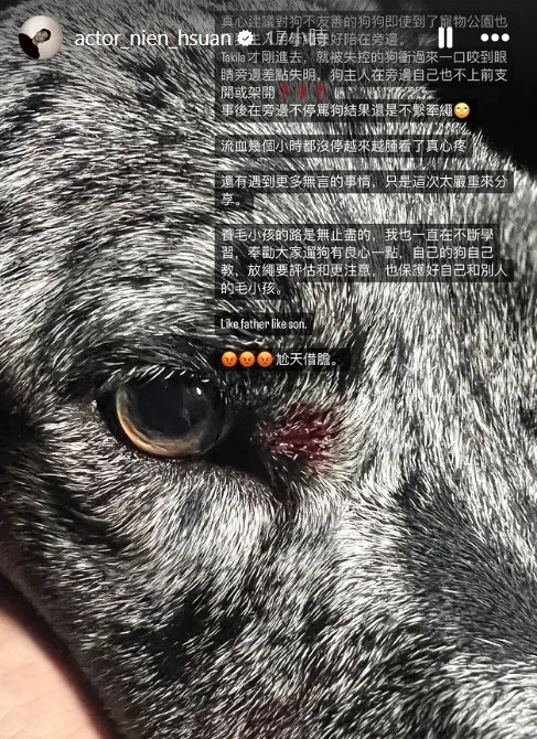 吳念軒愛犬被咬傷差點失明。翻攝吳念軒IG