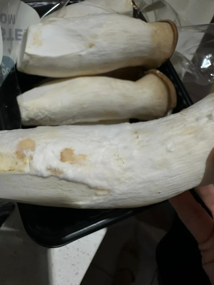 網友回家才發現杏鮑菇「毛茸茸」。翻攝Costco好市多 商品經驗老實說 臉書