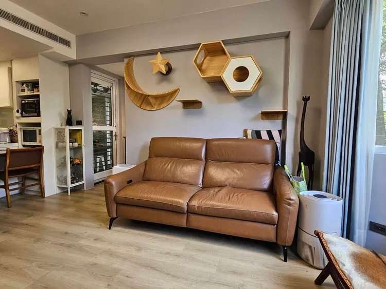 客廳有可愛貓爬架。翻攝黃大米臉書