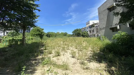 柯文哲農地「種後不理」雜草叢生 竹市府:將行文要求定期管理