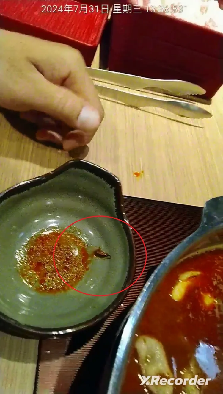 涮乃葉麻辣湯底出現小蟑螂。讀者提供