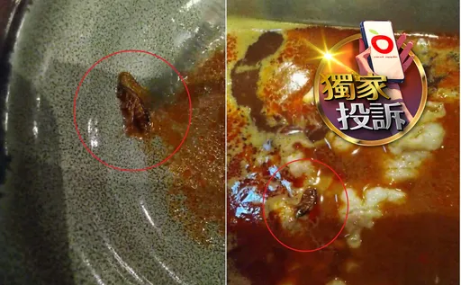 獨家投訴|「涮乃葉」湯底驚見小蟑螂 業者致歉:應2天前消毒導致