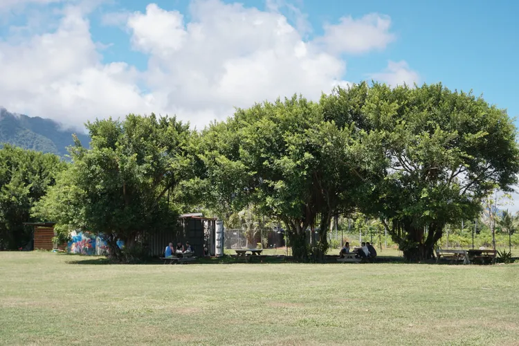 大樹下的座位區與環境融為一體，相當舒適。S.H.攝