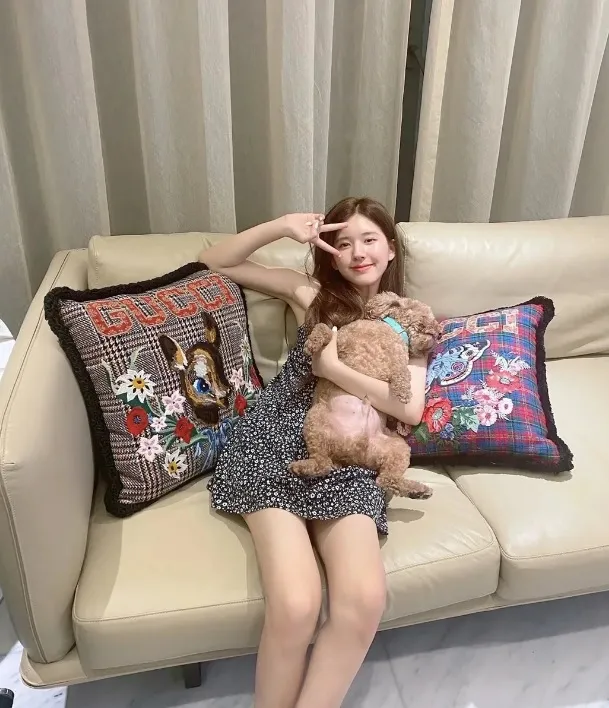 趙露思在自家沙發上抱寵物拍美照。翻攝趙露思小紅書