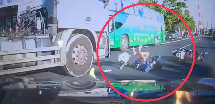 機車騎士載的狗狗被嚇到，倉皇逃竄，差點被卡在車下。翻攝照片