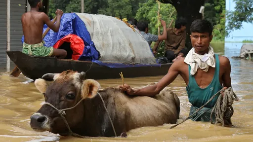 影片|孟加拉豪雨河流暴洪 19萬人撤離已23死