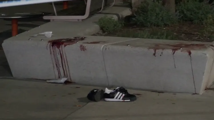 遇襲現場可看到留下的一隻布鞋和血跡。翻攝自《紐約郵報》