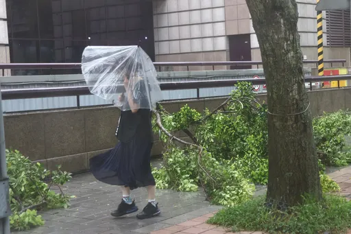 大雷雨襲北市釀災 路面淹水、路樹傾倒、舞台坍塌2人傷