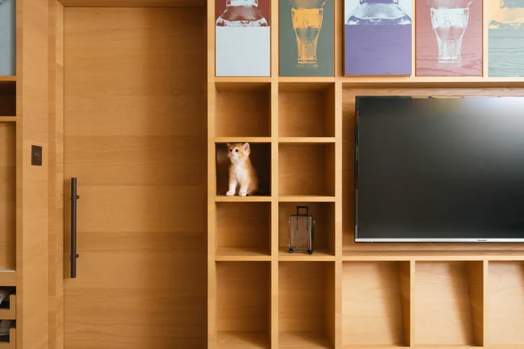 Klook獨家提供可入住寵物貓狗的「高級城市景觀房」5折超殺優惠。業者提供