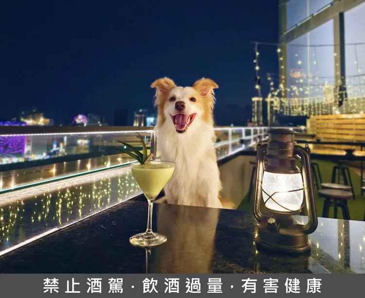 試營運期間招待寵物特調乙杯，可和毛寶貝悠閒的一起喝一杯。業者提供