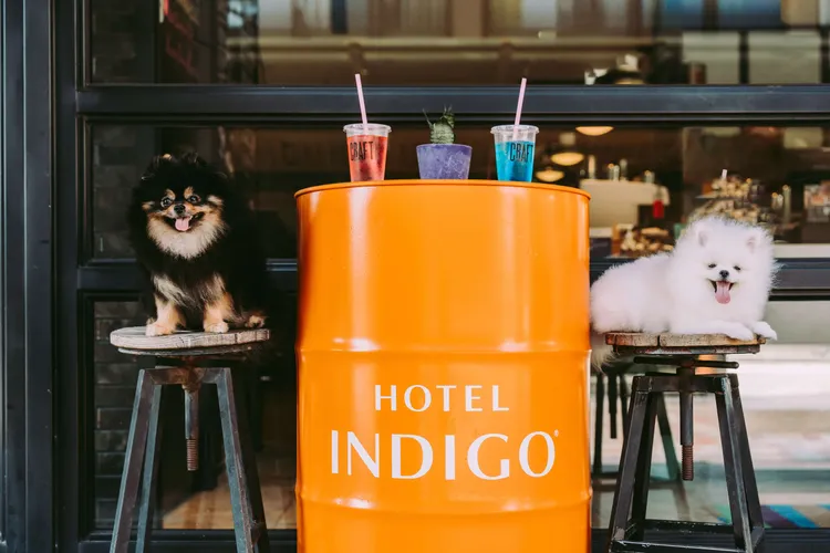 飯店試營運期間，於平日入住還能視房況免費升等。業者提供