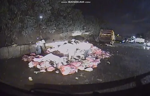 糊塗民眾連錢包一起丟垃圾車 新莊清潔隊員翻2.5噸垃圾幫找回6萬元現金