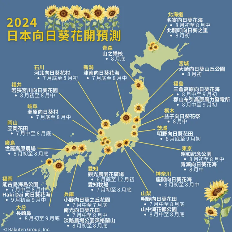 每年盛夏日本向日葵金黃燦爛盛開時候，樂天旅遊獨家整理了「2024 年日本向日葵花開預測地圖」。業者提供