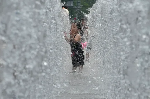 百萬隻魚被熱死 南韓「熱帶夜」天數續破紀錄