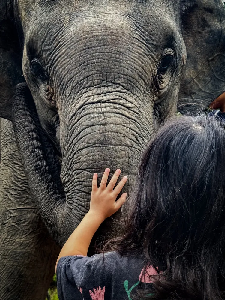 入圍佳作的照片是使用五倍光學變焦，捕捉到一頭小象與大女兒溫馨互動的瞬間。蘋果提供