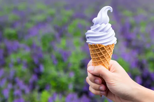 日本東北、北海道冰品攻略!花卷必嚐巨無霸霜淇淋 仙台毛豆冰品鹹甜