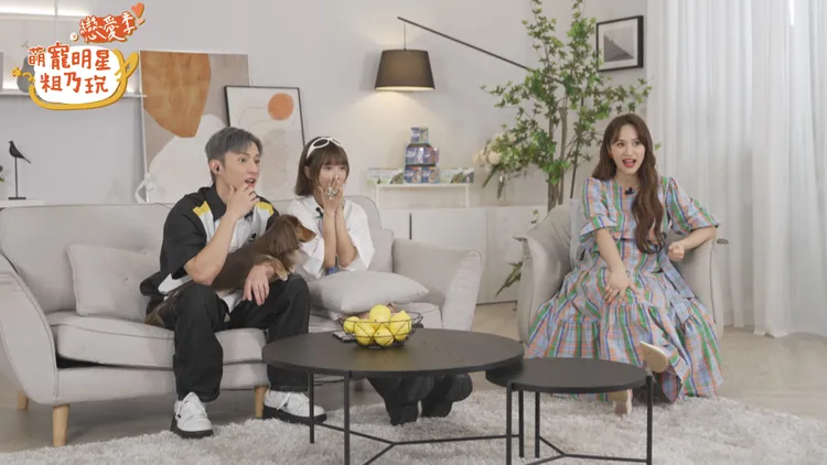 《萌寵明星粗乃玩》戀愛季，看得觀察室心動不已。TVBS提供