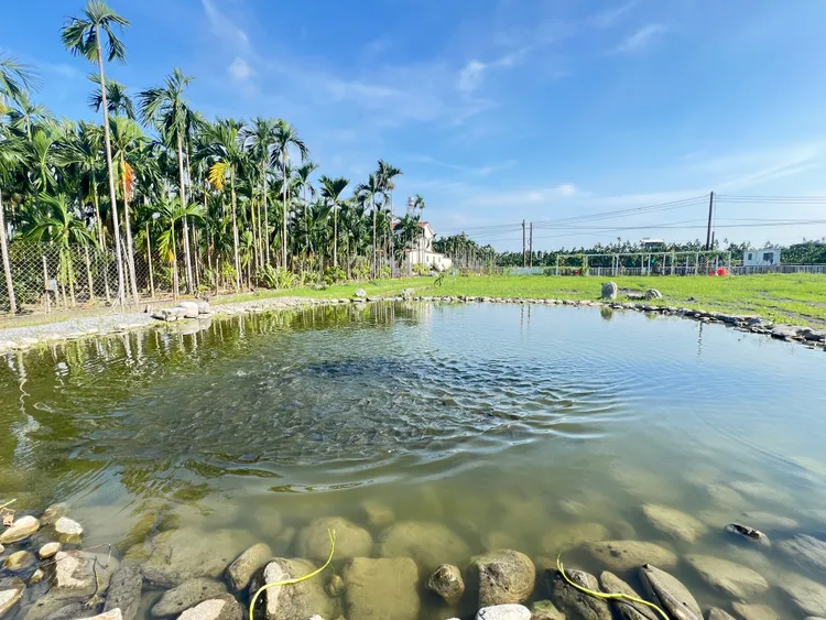 社區住戶擁有600坪魚菜共生農地，並配置專職農夫管理。葉家銘攝