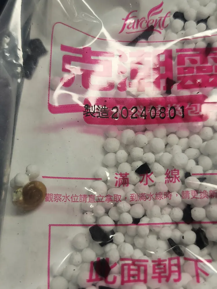 網友震驚蝸牛在除溼袋中。翻攝「Costco好市多 商品經驗老實說」臉書