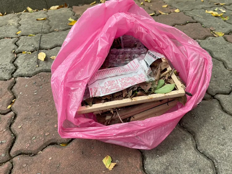 林口區公所派員回收黏鼠板，並且改為投藥防治鼠患。公所提供