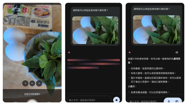 提供Google Gemini食材便可得到推薦料理。趙筱文 攝