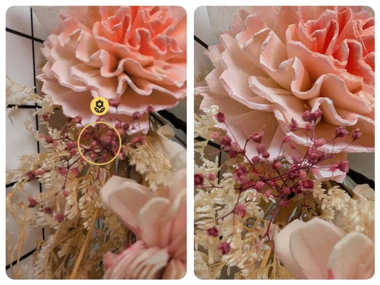 Pixel 9支援微距對焦。趙筱文 攝