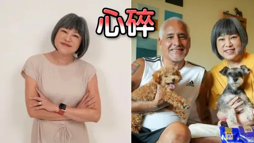范琪斐惊爆离婚!亲曝老公有小三 20年异国婚毁了