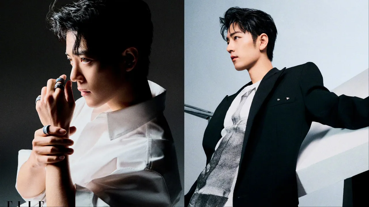 肖戰此次的雜誌封面有雙代言品牌加持。翻攝《ELLE》微博