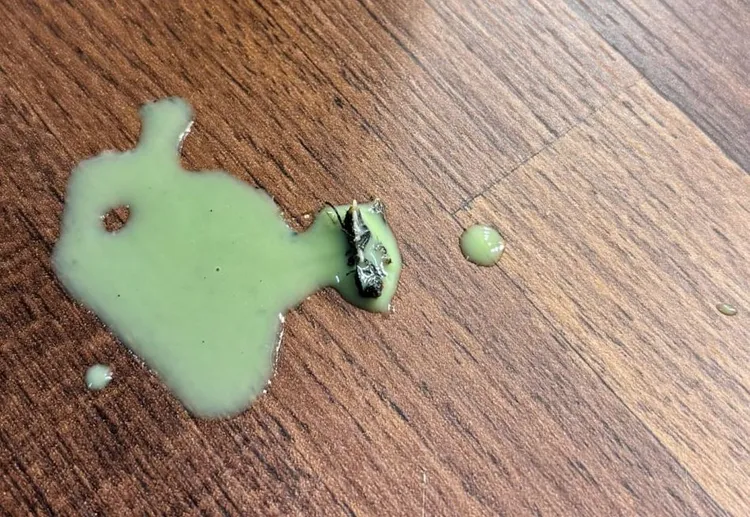 女顧客喝到如女生小指般大小的「蒼蠅」，被咬破的肚皮甚至跑出數隻已經死亡的「蛆」，造成她心生噁心、上吐下瀉。民眾提供