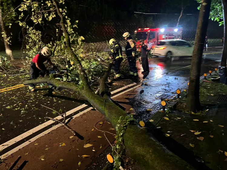 桃園路樹倒塌，警消排除中。桃園警分局提供