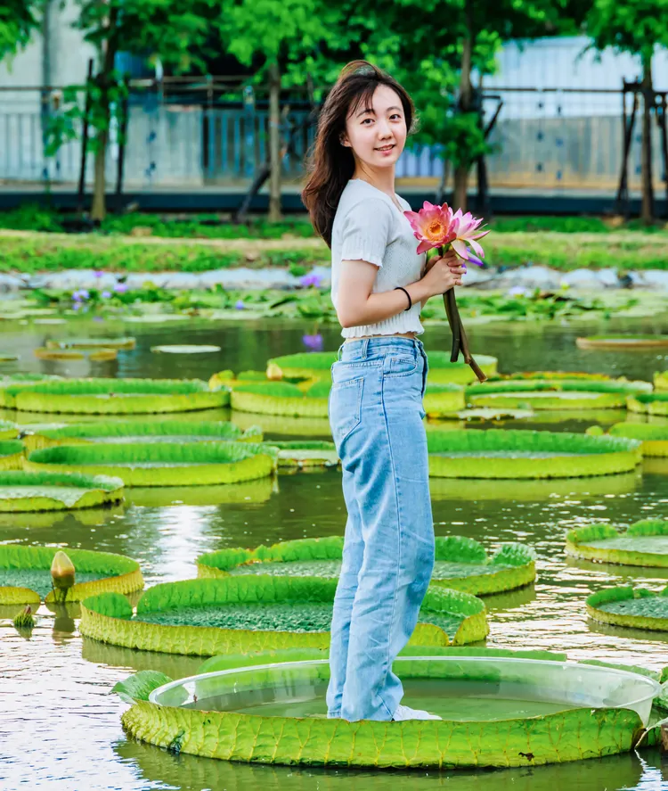 乘坐大王蓮拍美照。農業局提供