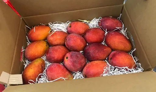 食藥署重拳出擊嚴格調控農藥殘留 21種新標準一次看