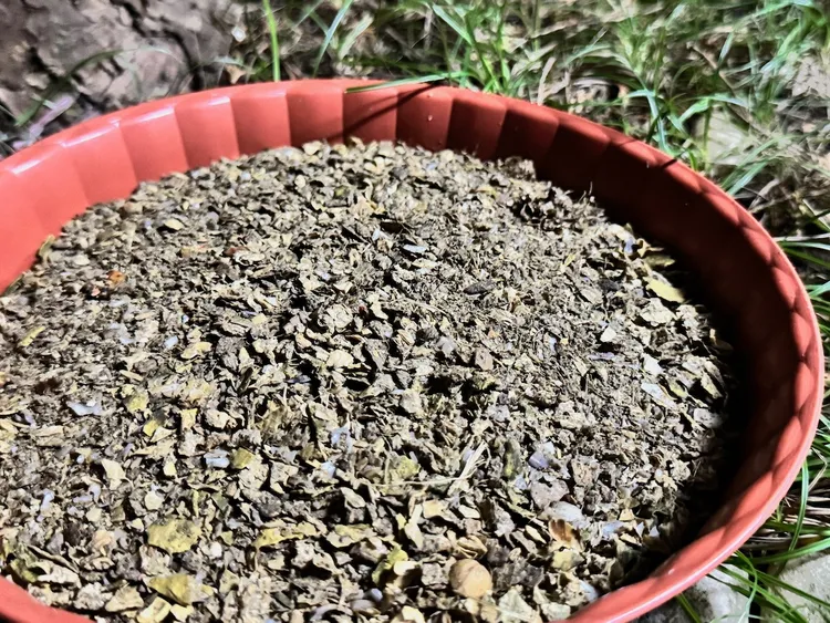 在中等份量中使用標準模式，也能擁有相當滿意的粉碎乾燥效果。趙筱文 攝