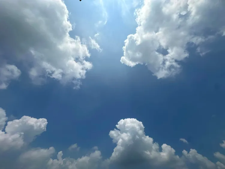 陳以真拍下天空，天氣相當好。翻攝陳以真臉書