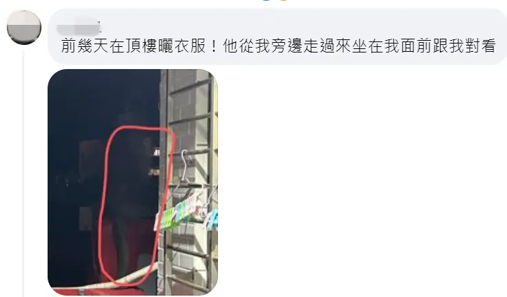 有網友表示曬衣服也看過猴子。翻攝「內湖 & 松山 & 南港 & 汐止 集團」臉書
