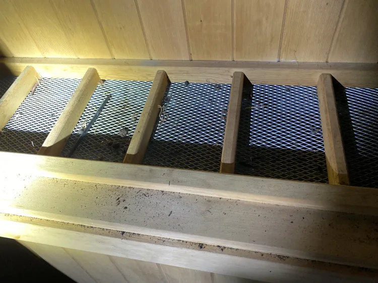 民宿員工竟然用三溫暖烤箱乾燥大麻葉。翻攝照片