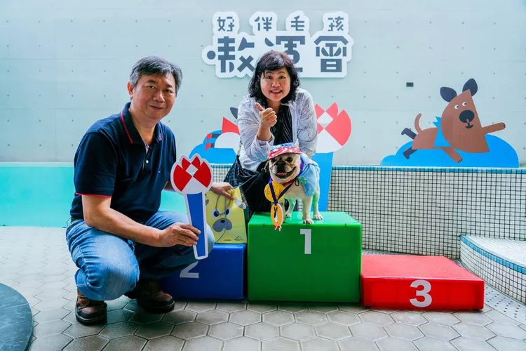 高雄市動物保護處長葉坤松頒獎予冠軍法鬥犬Bunny邦尼。動保處提供