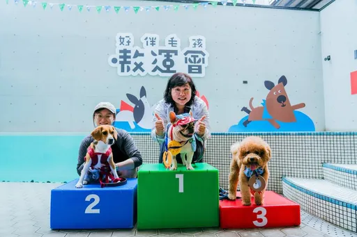 2024「好伴bàn毛孩嗷運會」開跑!12汪星人泳汪向前 奪冠的是牠