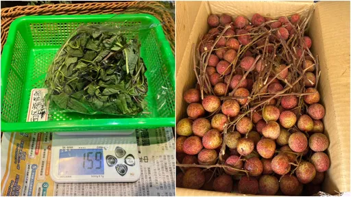 九層塔重災區 北市抽查蔬果農藥殘留!這12款全違規