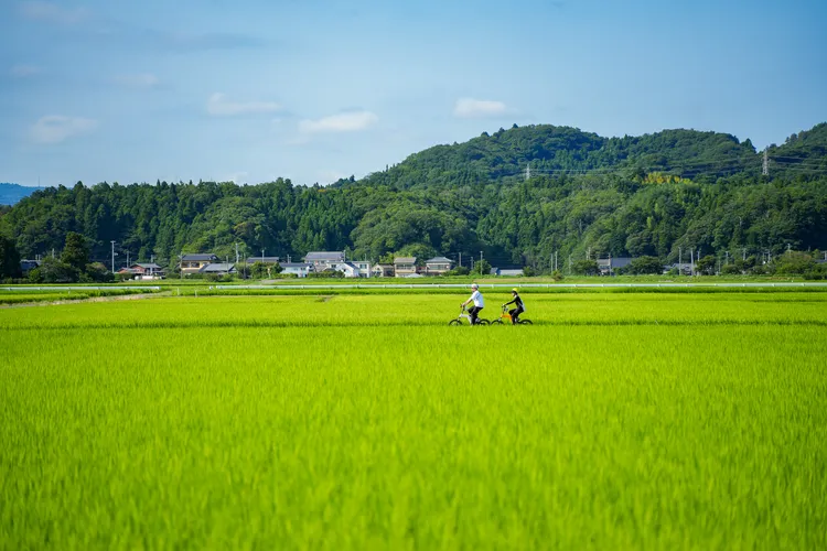 「四倉町戶田」擁有廣闊無垠的水田，四周被鄉村聚落和自然山林所環繞。田欣雲攝影