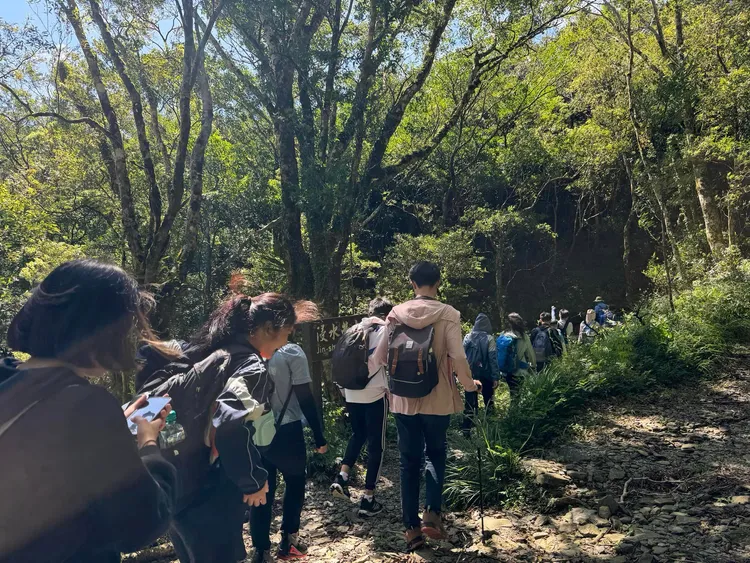 來自屏東的20人學生登山團昨（22日）下午在台東浸水營古道遇到虎頭蜂群攻擊。翻攝鍾佳濱臉書