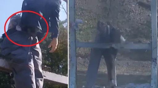 影片曝!以色列1日毀真主黨的威力 CNN實測:腰子沒了、身體一半斷了