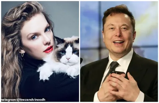 會不會太噁啊?泰勒絲自稱「無子貓姑婆」挺賀錦麗 馬斯克竟回要讓她懷孕