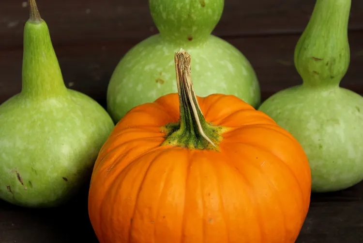 南瓜當中含有鉀，有助於維持骨密度，預防骨質疏鬆。翻攝PIXABAY