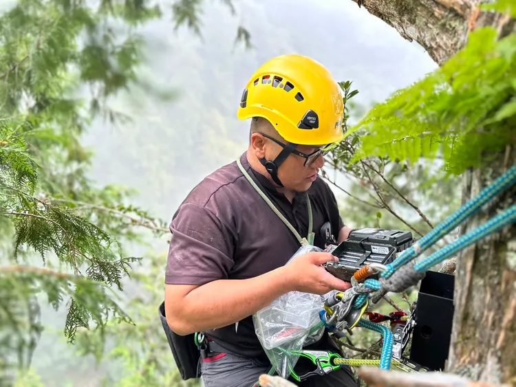 森林護管員攀樹進行保育調查，維護紅外線相機。台中分署提供