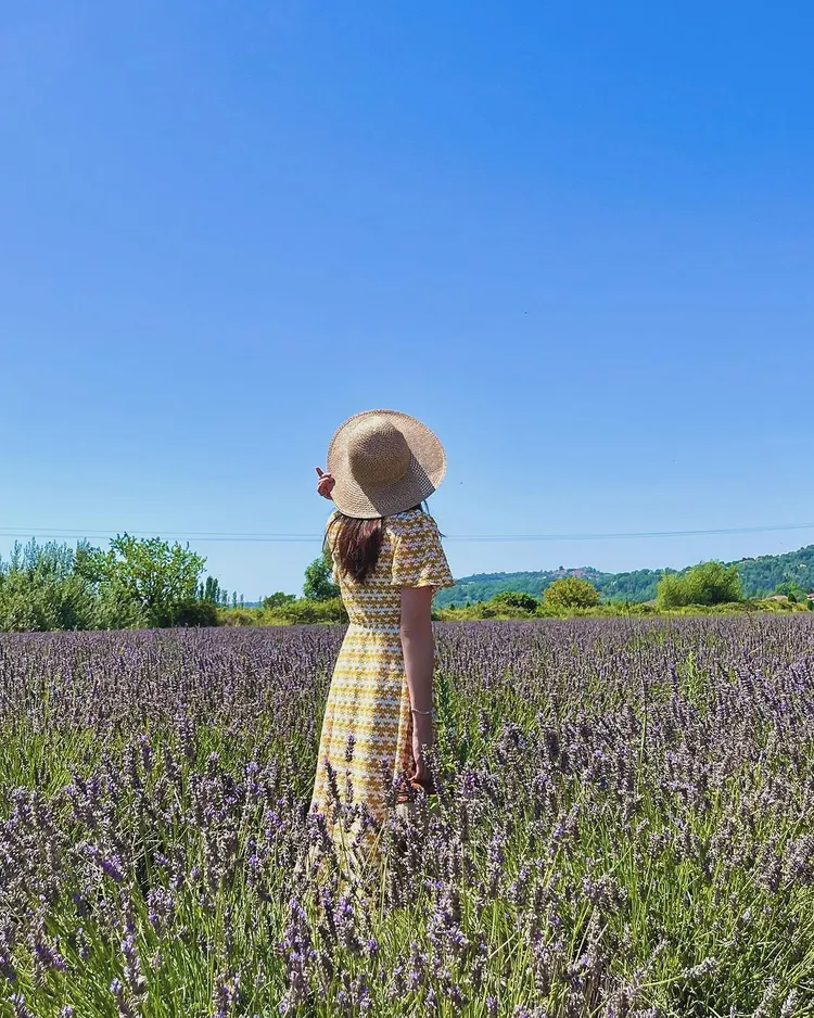曾馨瑩在普羅旺斯的薰衣草田中留下美照。翻攝曾馨瑩IG