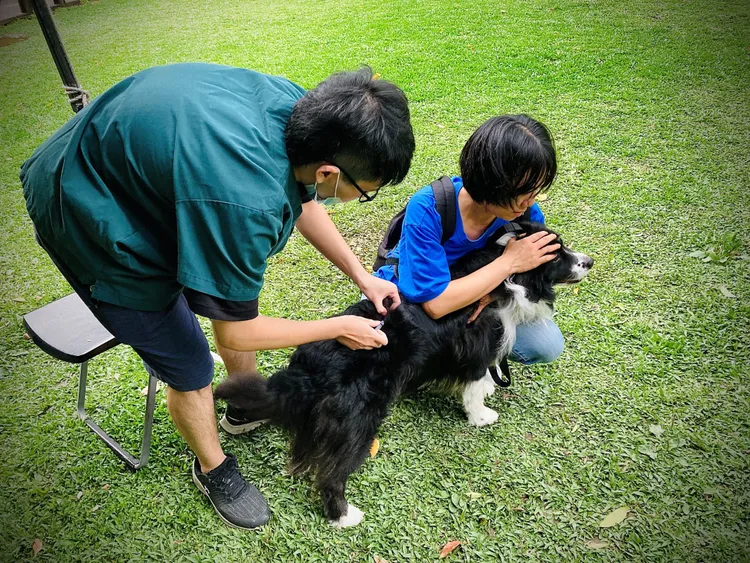 毛孩健康同樂會加碼送100劑狂犬病疫苗。北市府提供