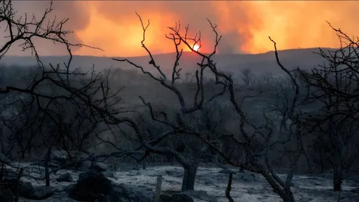 拉丁美洲陷乾旱火海! 哥倫比亞1萬公頃土地被燒毀
